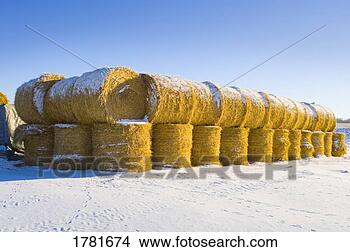 Stock Photo - bales of hay. 
fotosearch - search 
stock photos, 
pictures, images, 
and photo clipart