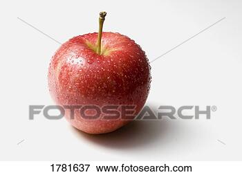 A fresh apple View Large Photo Image Picture - a fresh apple. fotosearch - search stock photos, pictures, images, and photo clipart