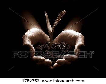 Stock Photo - nurture and grow. 
fotosearch - search 
stock photos, 
pictures, images, 
and photo clipart