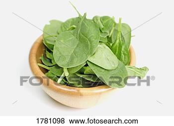 Stock Photo - spinach leaves 
in a bowl. fotosearch 
- search stock 
photos, pictures, 
images, and photo 
clipart