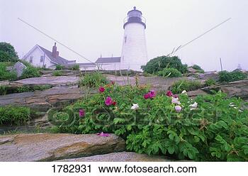 Stock Photography - pemaquid point 
lighthouse. fotosearch 
- search stock 
photos, pictures, 
images, and photo 
clipart