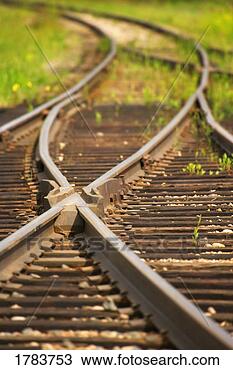 Stock Photo - railroad tracks 
that merge off 
into different 
paths. fotosearch 
- search stock 
photos, pictures, 
images, and photo 
clipart