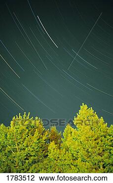 Stock Photo - star trails. fotosearch 
- search stock 
photos, pictures, 
images, and photo 
clipart