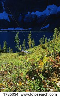 Stock Photo - floe lake, kootenay 
national park. 
fotosearch - search 
stock photos, 
pictures, images, 
and photo clipart