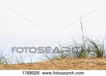 Stock Photo - beachfront. fotosearch 
- search stock 
photos, pictures, 
images, and photo 
clipart