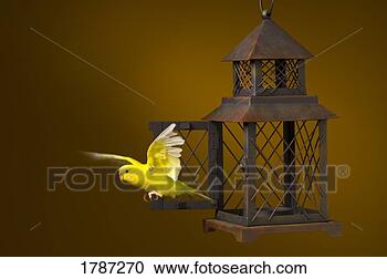 Stock Photography - bird escaping 
from cage. fotosearch 
- search stock 
photos, pictures, 
images, and photo 
clipart