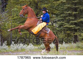 Stock Image - cowboy on bucking 
horse. fotosearch 
- search stock 
photos, pictures, 
images, and photo 
clipart