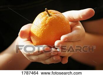 Stock Photo - hands holding 
an orange. fotosearch 
- search stock 
photos, pictures, 
images, and photo 
clipart