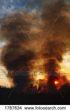 Stock Photo - sunset behind 
columns of smoke. 
fotosearch - search 
stock photos, 
pictures, images, 
and photo clipart