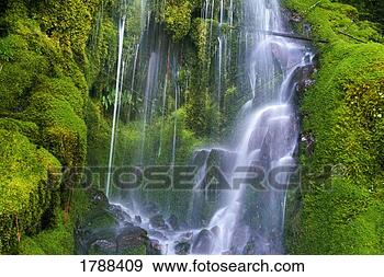 Stock Photograph - waterfall over 
moss-covered rocks. 
fotosearch - search 
stock photos, 
pictures, images, 
and photo clipart