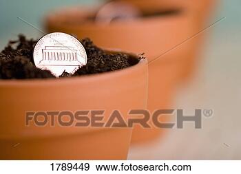 Stock Photograph - closeup of penny 
in a pot. fotosearch 
- search stock 
photos, pictures, 
images, and photo 
clipart