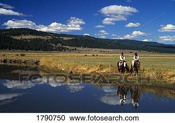 Stock Photography - cowboys on horseback 
at edge of creek, 
dogs in grass, 
water reflection. 
fotosearch - search 
stock photos, 
pictures, images, 
and photo clipart