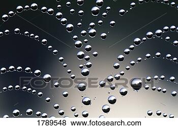 Stock Photo - dew drops on spider 
web. fotosearch 
- search stock 
photos, pictures, 
images, and photo 
clipart