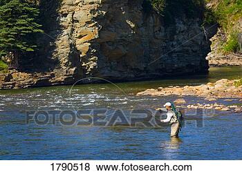 Stock Photo - fly fishing in 
a river. fotosearch 
- search stock 
photos, pictures, 
images, and photo 
clipart