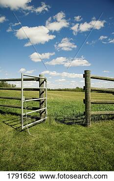 Stock Photo - open gate on farm. 
fotosearch - search 
stock photos, 
pictures, images, 
and photo clipart