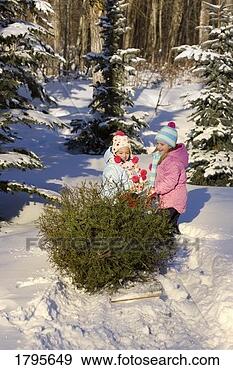 Stock Photograph - children pulling 
a tree. fotosearch 
- search stock 
photos, pictures, 
images, and photo 
clipart