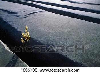Stock Photo - aran islands, 
limestone dyke, 
inishmore, ireland. 
fotosearch - search 
stock photos, 
pictures, images, 
and photo clipart