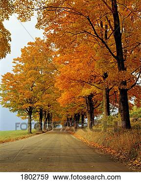 Stock Photograph - autumn road. fotosearch 
- search stock 
photos, pictures, 
images, and photo 
clipart