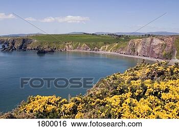 Stock Photo - ballydowane cove, 
copper coast, 
co waterford, 
ireland. fotosearch 
- search stock 
photos, pictures, 
images, and photo 
clipart