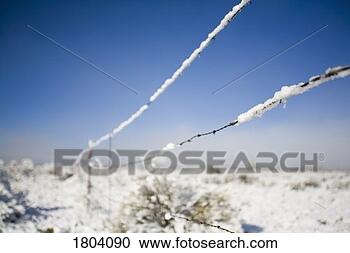 Stock Photography - barbed-wire fence 
in winter. fotosearch 
- search stock 
photos, pictures, 
images, and photo 
clipart