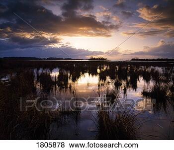 Stock Photo - co antrim, lough 
beg, near toomebridge, 
ireland. fotosearch 
- search stock 
photos, pictures, 
images, and photo 
clipart