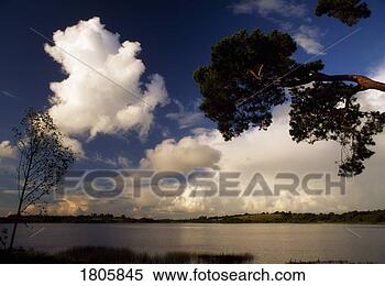 Stock Image - co cavan, lakeshore, 
ireland. fotosearch 
- search stock 
photos, pictures, 
images, and photo 
clipart