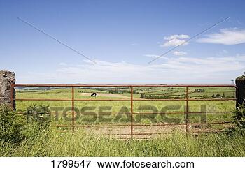 Picture - farmgate/pastoral, 
near croaghaun 
mountain, co waterford, 
ireland. fotosearch 
- search stock 
photos, pictures, 
images, and photo 
clipart