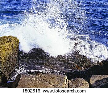 Stock Photo - large wave crashing 
on the rocks. 
fotosearch - search 
stock photos, 
pictures, images, 
and photo clipart