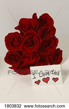 Stock Photo - i love you card 
beside bouquet 
of red roses. 
fotosearch - search 
stock photos, 
pictures, images, 
and photo clipart