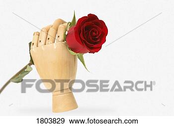 Stock Photograph - mannequin hand 
holding a red 
rose. fotosearch 
- search stock 
photos, pictures, 
images, and photo 
clipart