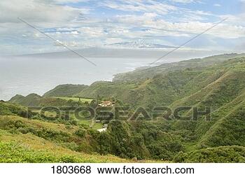 Stock Photo - maui's lush vegetation 
in northern coast 
of hawaii, usa. 
fotosearch - search 
stock photos, 
pictures, images, 
and photo clipart