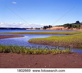 Stock Photograph - minas basin, nova 
scotia. fotosearch 
- search stock 
photos, pictures, 
images, and photo 
clipart