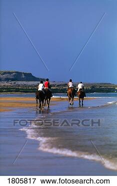 Picture - pony trekking, 
fanore, co clare, 
ireland. fotosearch 
- search stock 
photos, pictures, 
images, and photo 
clipart