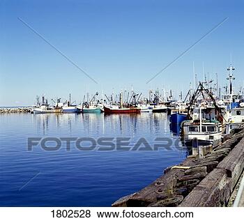 Stock Photo - scallop boats, 
digby, nova scotia. 
fotosearch - search 
stock photos, 
pictures, images, 
and photo clipart