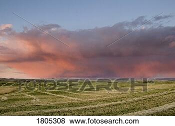 Stock Photo - storm cloud over 
field in alberta, 
canada. fotosearch 
- search stock 
photos, pictures, 
images, and photo 
clipart