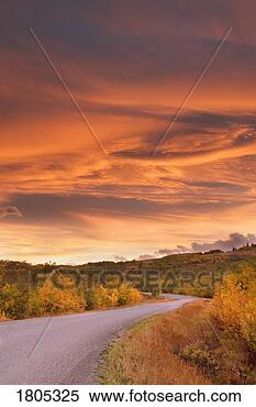 Stock Image - sunset over road 
in autumn, alberta, 
canada. fotosearch 
- search stock 
photos, pictures, 
images, and photo 
clipart