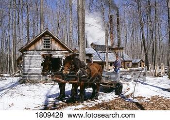 Stock Photo - horse and wagon 
by sugar house. 
fotosearch - search 
stock photos, 
pictures, images, 
and photo clipart