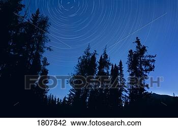 Stock Photo - twilight tree 
silhouettes and 
stars with time 
lapse photography. 
fotosearch - search 
stock photos, 
pictures, images, 
and photo clipart