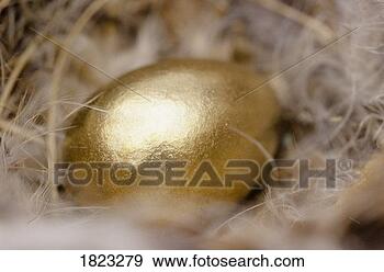 Stock Photograph - golden egg. fotosearch 
- search stock 
photos, pictures, 
images, and photo 
clipart