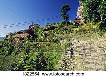 Stock Photo - path in annapurna 
region, nepal. 
fotosearch - search 
stock photos, 
pictures, images, 
and photo clipart