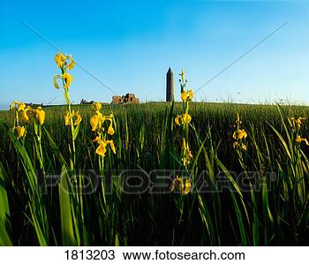 Stock Photo - round tower, devenish 
island, lower 
lough erne, co 
fermanagh, ireland. 
fotosearch - search 
stock photos, 
pictures, images, 
and photo clipart