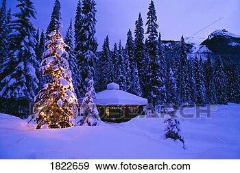 Stock Photograph - tree with christmas 
lights,  emerald 
lake,  yoho national 
park. fotosearch 
- search stock 
photos, pictures, 
images, and photo 
clipart