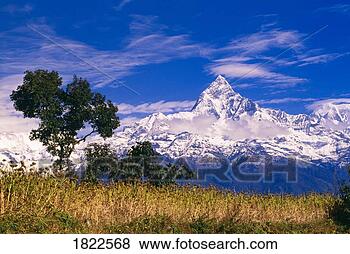 Stock Photo - view of machhapuchhare 
from sarangkot, 
annapurna region, 
nepal. fotosearch 
- search stock 
photos, pictures, 
images, and photo 
clipart