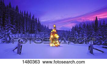 Stock Photo - christmas tree 
in the mountains 
at dusk british 
columbia canada. 
fotosearch - search 
stock photos, 
pictures, images, 
and photo clipart