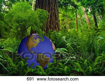 Stock Photography - green and blue 
globe at base 
of large tree 
in rainforest. 
fotosearch - search 
stock photos, 
pictures, images, 
and photo clipart