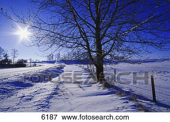 Picture - small snow-covered 
road on sunny 
winter's day alberta. 
fotosearch - search 
stock photos, 
pictures, wall 
murals, images, 
and photo clipart