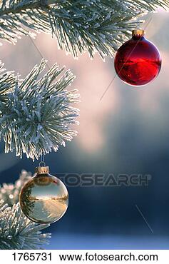 Stock Photography - christmas ornaments 
hanging on tree. 
fotosearch - search 
stock photos, 
pictures, images, 
and photo clipart