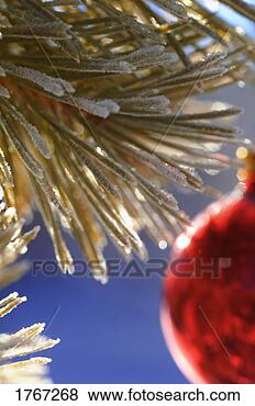 Stock Photo - closeup of christmas 
ornament on tree. 
fotosearch - search 
stock photos, 
pictures, images, 
and photo clipart
