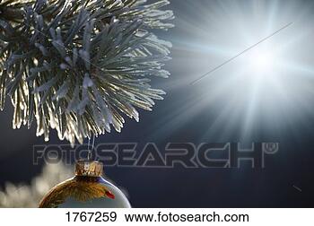 Stock Photograph - a bright light 
shines on a christmas 
tree ornament 
outdoors. fotosearch 
- search stock 
photos, pictures, 
images, and photo 
clipart