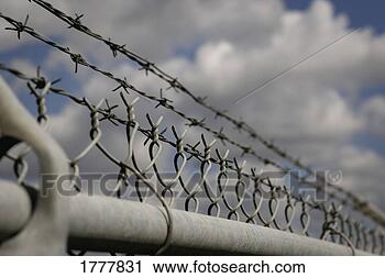 Stock Photography - barbed wire and 
link fence. fotosearch 
- search stock 
photos, pictures, 
images, and photo 
clipart